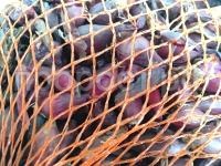 a9t0q2e846t12azix7lwuep2zyazczrw a9t0q2e846t12azix7lwuep2zyazczrw