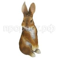 заяц полевой коричн заяц полевой коричн