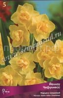 Нарцисс Йеллоу Чифулнесс