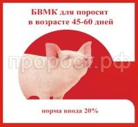 бвмк поросята 45-60