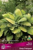 Хоста Форчуна Голд Стандарт Хоста Форчуна Голд Стандарт