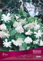 НоменклатураПрисоединенныеФайлы НоменклатураПрисоединенныеФайлы