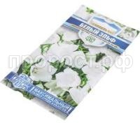 Без названия (9)