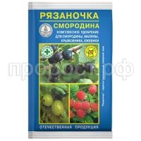 рязаночка смородина рязаночка смородина