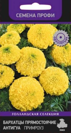 Бархатцы Антигуа Примроуз 15шт