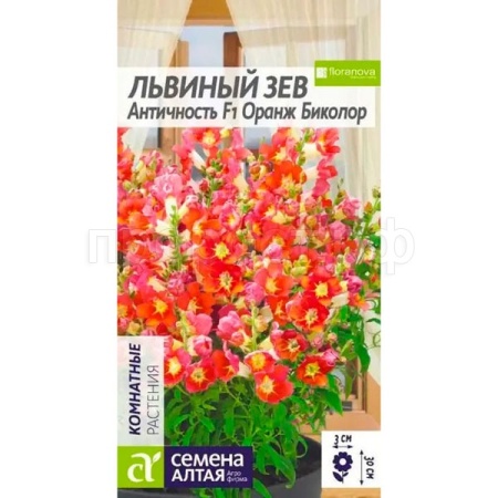 Львиный зев Античность Оранж биколор 10шт
