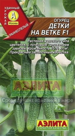 Огурец Детки на ветке F1 0,25г 
