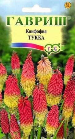 Книфофия Тукка 0,05г