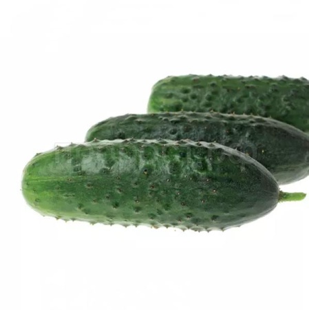 Огурец Аякс F1 20*10шт