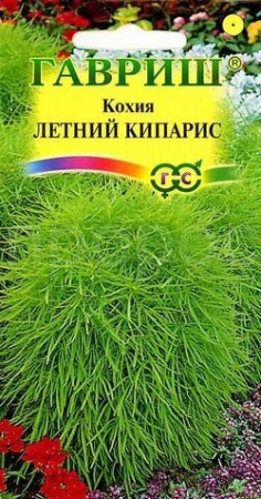 Кохия Летний кипарис 0,3г 