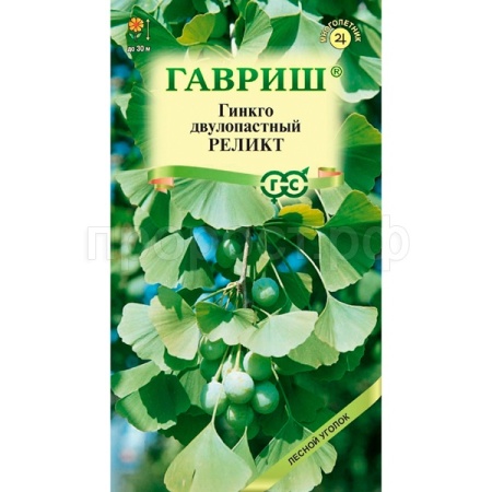 Гинкго двулопастный Реликт 2 шт