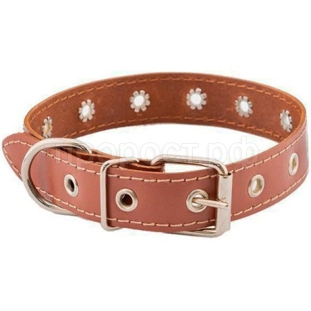 Ошейник кожа 30мм ЧИП натурал кожа простроч.до 52см коричневый/51030кор/Дарэлл