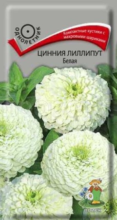 Цинния лилипут Белая 0,4г