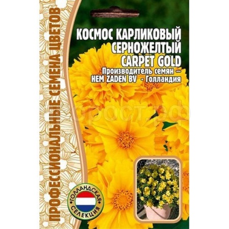 Космос карликовый серножелтый Carpet Gold 5шт