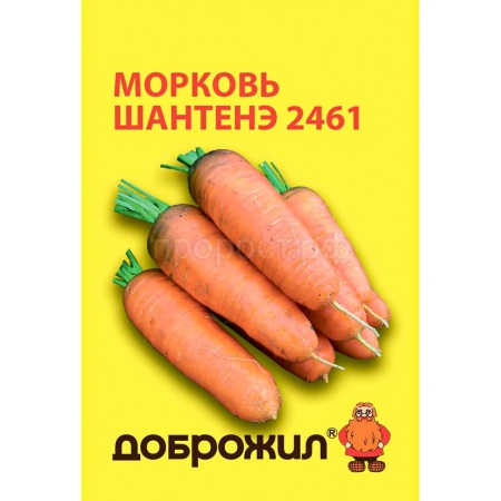 Морковь Шантенэ 2461 2г