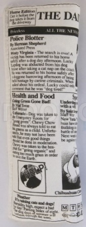 Игрушка для собак Аппорт Газета с шуршалкой 25см/С2304