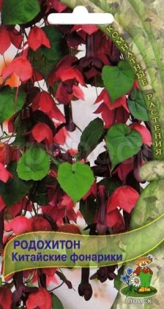 Родохитон Китайские фонарики 5шт