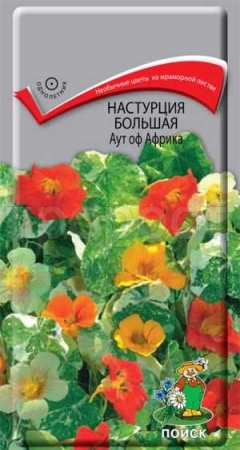 Настурция Аут оф Африка большая 1гр