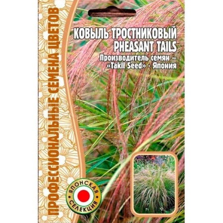 Ковыль тростниковый Pheasant Tails 10шт