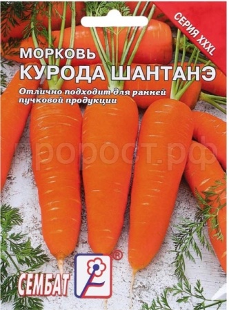 Морковь Курода Шантанэ 10г