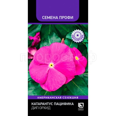 Катарантус Пацифика Дип Орхид 10шт