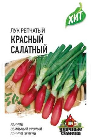 Лук репчатый Красный салатный 0,5г (на зелень)