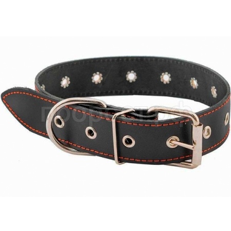 Ошейник кожа 25мм ЧИП натурал кожа простроч.до 45см черный/51025черн/Дарэлл