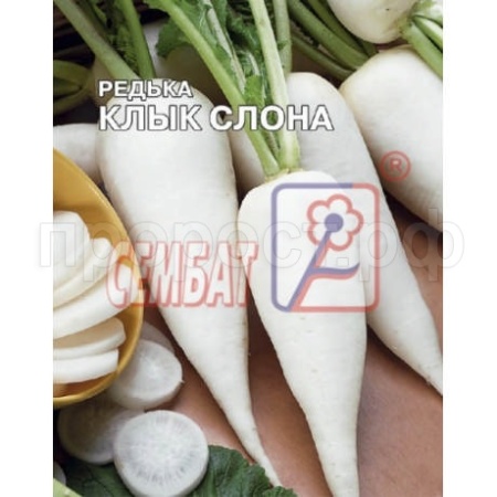 Редька Клык слона 10г XXXL