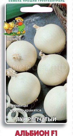 Лук репчатый Альбион 1г F1