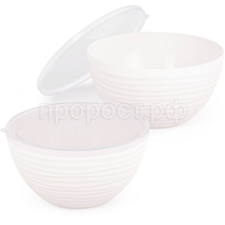 Набор Чаш Оазис (2шт) с крышкой белый (2,5л 4л) М8716