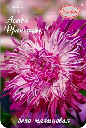 Каприс Астра Франсуаза бело-малиновая 20*0,5 