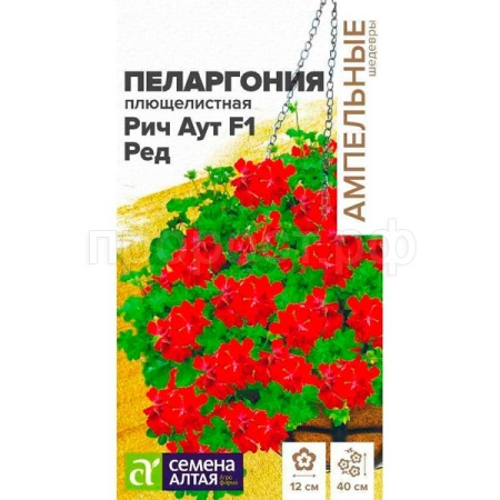 Пеларгония Рич Аут Ред 3шт