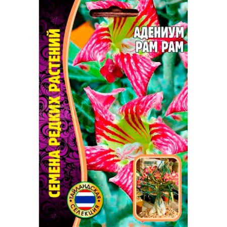 Адениум PAM PAM  3шт