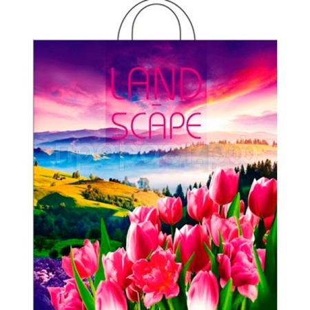 ПТЛ47681 Пакет 38*42 Просторы 1ШТ ПЭ с петлей /25/500шт/