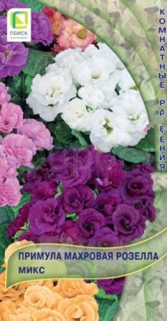 Примула махровая Розелла Микс 5шт