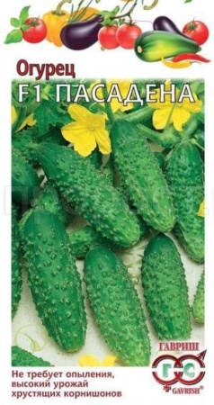 Огурец Пасадена F1 0,3г