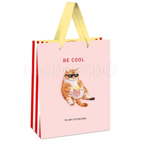 Пакет подарочный 11*14*6,5см "Be cool" выб. лак мат. ламинация MESHU/Рельеф