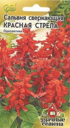 Сальвия Красная стрела 0,05г 