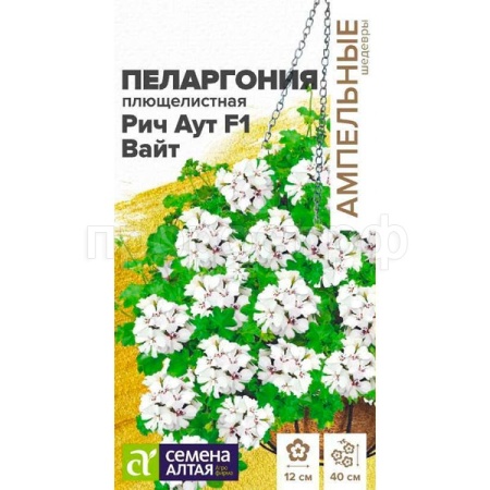 Пеларгония Рич Аут Вайт 3шт