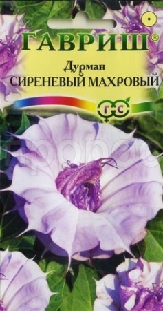 Дурман Сиреневый  Махровый 3шт 