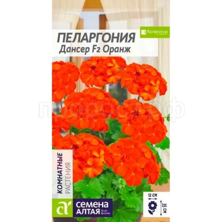 Пеларгония Дансер Оранж зональная 4шт
