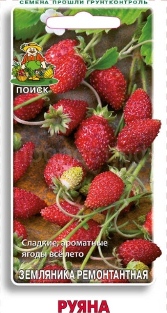 Земляника Руяна ремонтантная 100шт