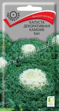 Капуста декоративная Камоме Вайт 10шт